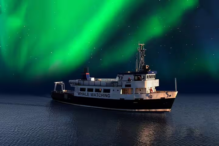 Whale watching boat sailing under vivid green northern lights aurora borealis at night in Reykjavik Iceland