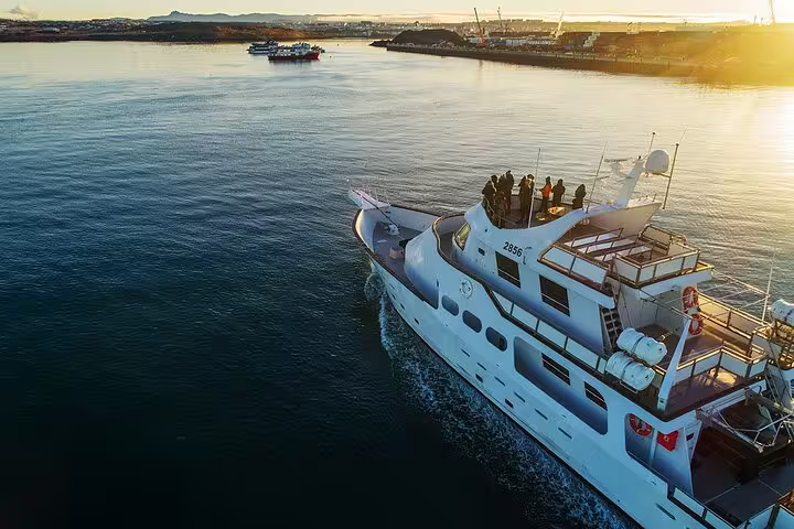 White yacht with passengers on deck cruising Reykjavik harbor at golden sunset during northern lights boat tour