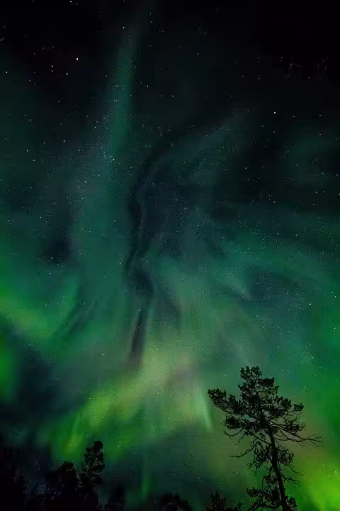Vibrant green northern lights aurora borealis swirling over silhouetted pine trees at night