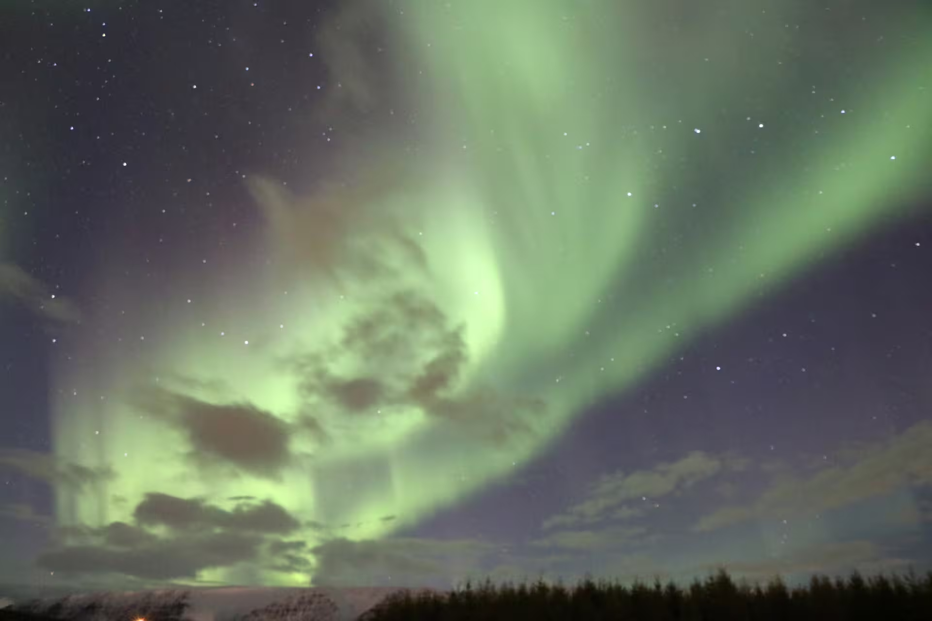 Vivid green northern lights swirling over Lake Myvatn treeline in Iceland night sky