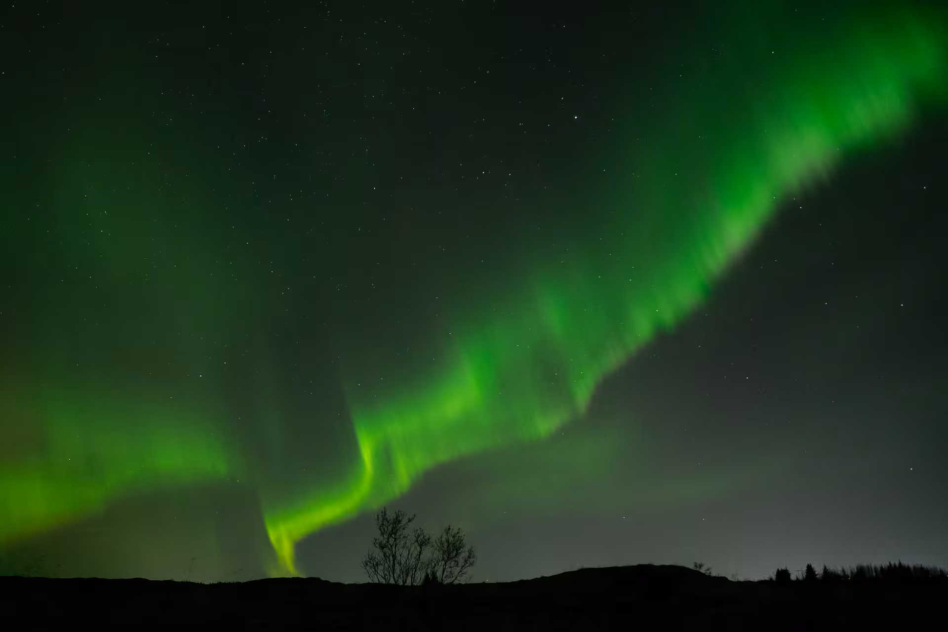 Vivid green northern lights dancing over silhouetted hills and trees near Reykjavik, Iceland