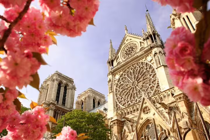 Notre-Dame Cathedral facade with pink cherry blossoms in bloom, Paris Latin Quarter