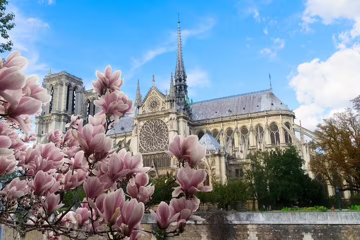 Notre-Dame Cathedral with pink magnolia blossoms in foreground along the Seine in Paris