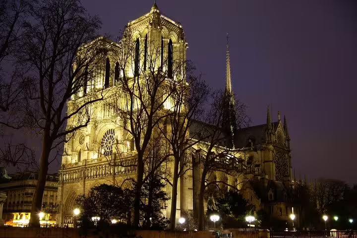Notre-Dame Cathedral illuminated at night with bare trees in foreground, Paris