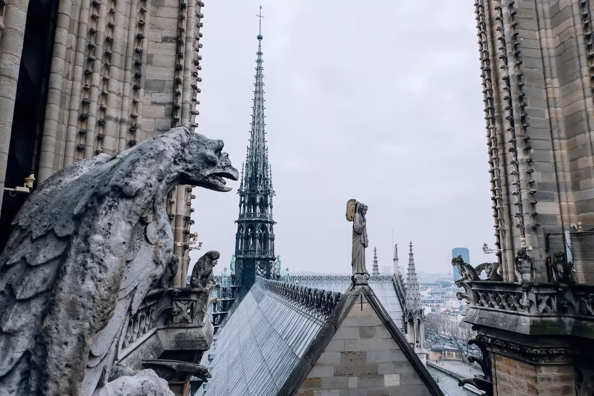 Gargoyles and spire of Notre-Dame Cathedral rooftop viewed from the bell tower gallery, Paris