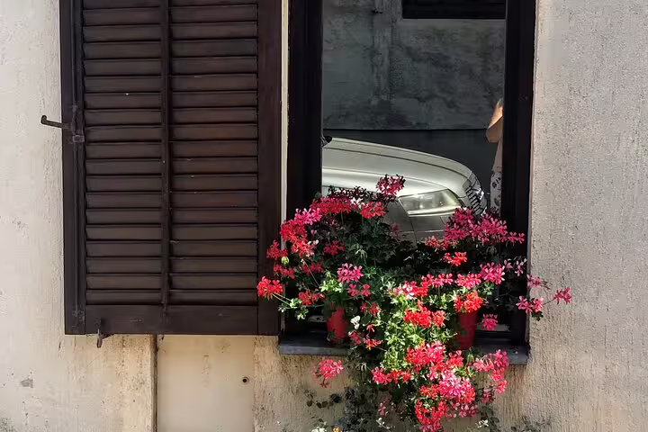Charming Novi Sad street window with red geraniums, a scenic stop on a private half-day Serbia tour