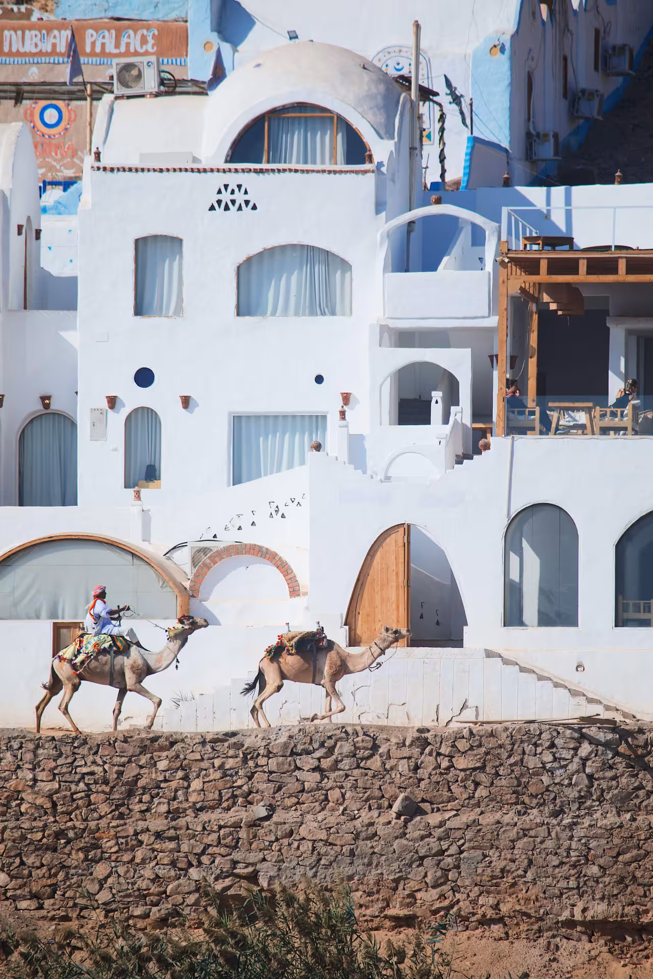 Camels walking past white Nubian village buildings along the Nile in Aswan, Egypt