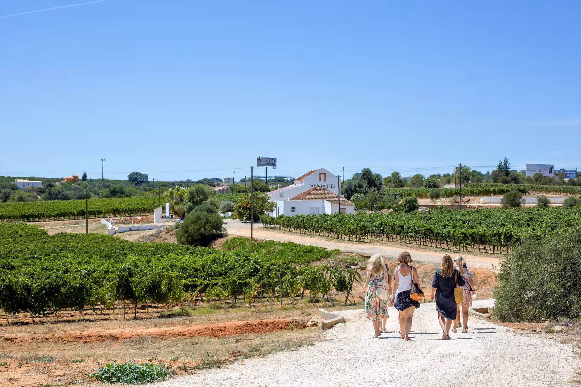 Small group walks through Núr Paxá vineyards toward the winery for a guided visit and superior tasting tour