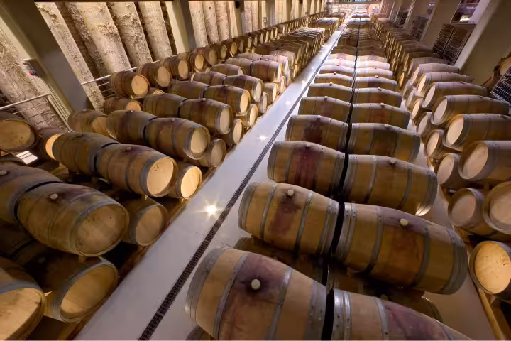 Rows of oak barrels aging wine in a modern cellar, part of the Portici Palace luxury wine tasting experience