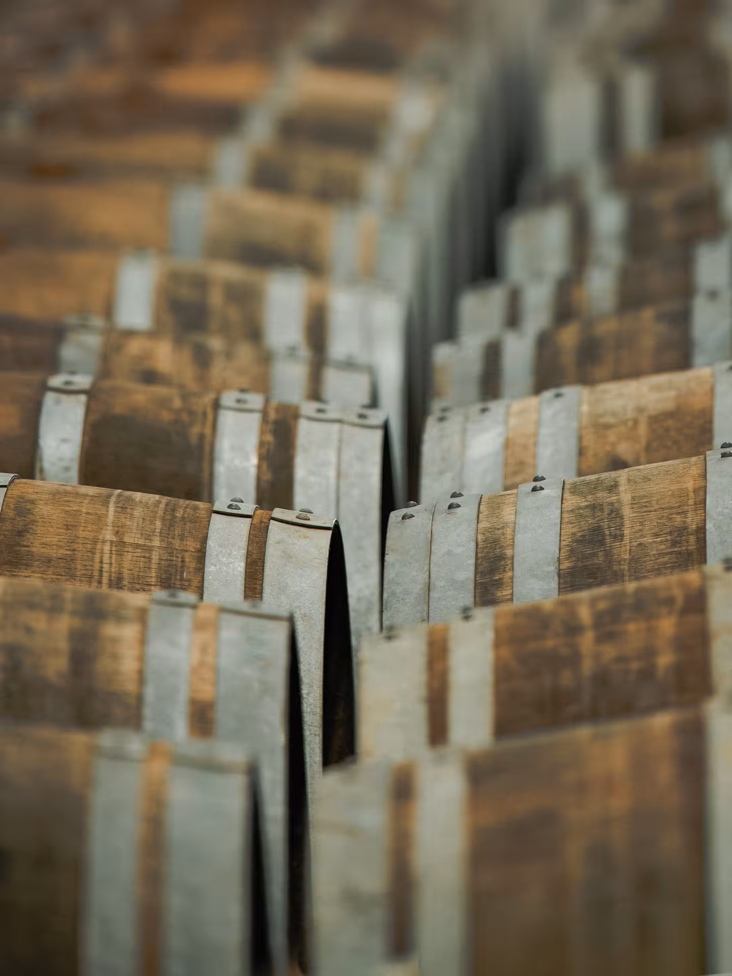 Rows of oak wine barrels in the cellar during Núr Paxá Visit & Superior Test winery tour and tasting experience
