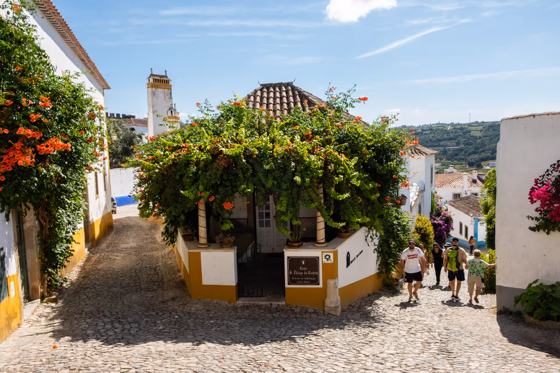 Charming cobblestone street in Óbidos adorned with lush greenery, showcasing the village's picturesque charm on the tour.