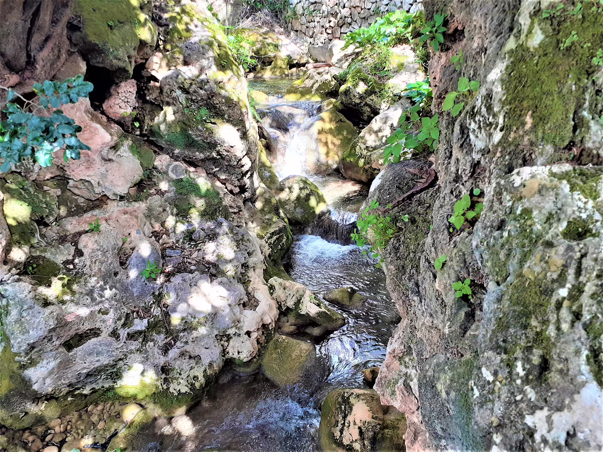 Shaded stream and mossy rocks in Ojén countryside, a nature stop on a private guided walking tour