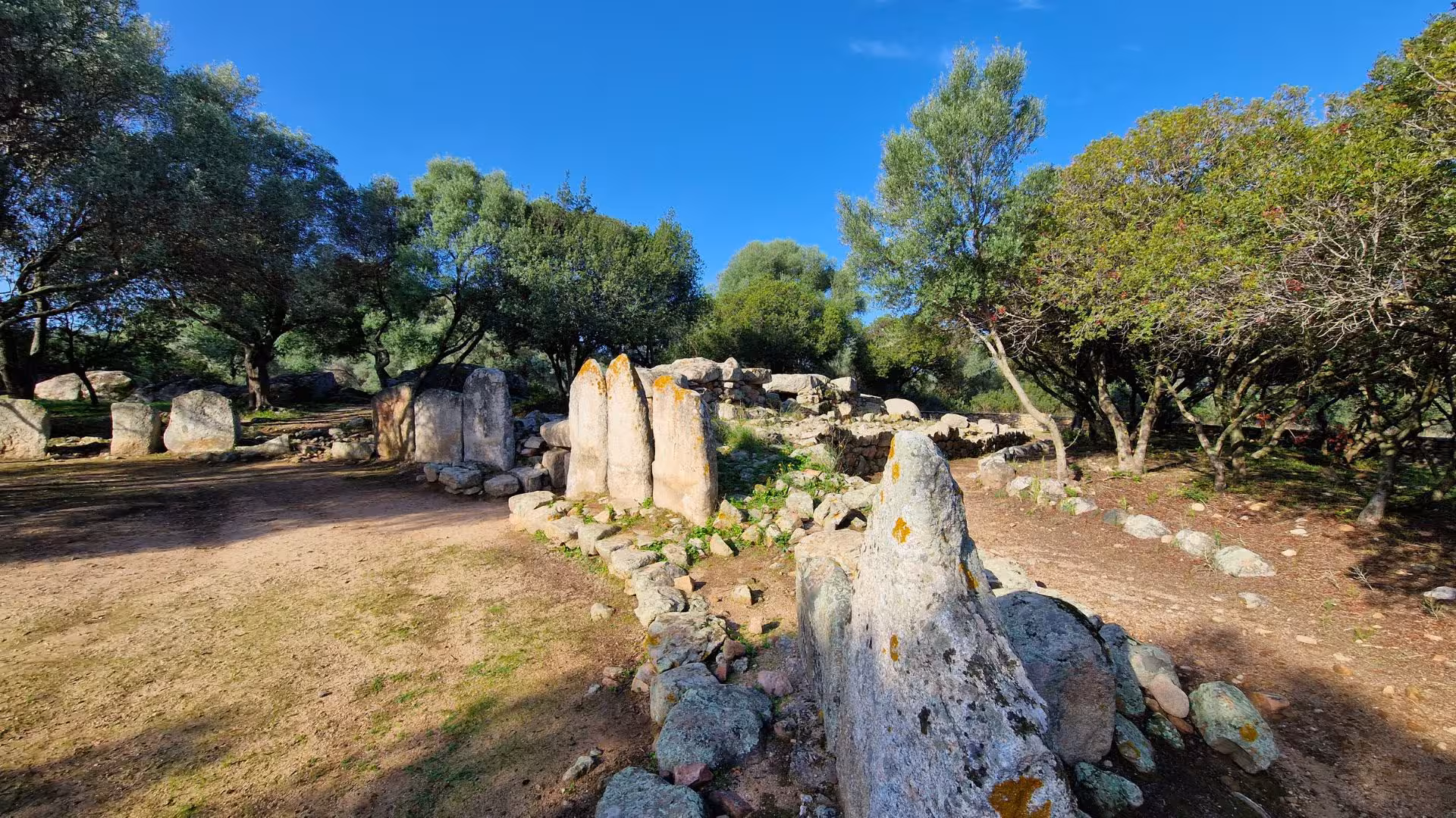 Ancient stone ruins amidst lush greenery in Olbia, perfect for archaeology enthusiasts exploring Sardinian history.