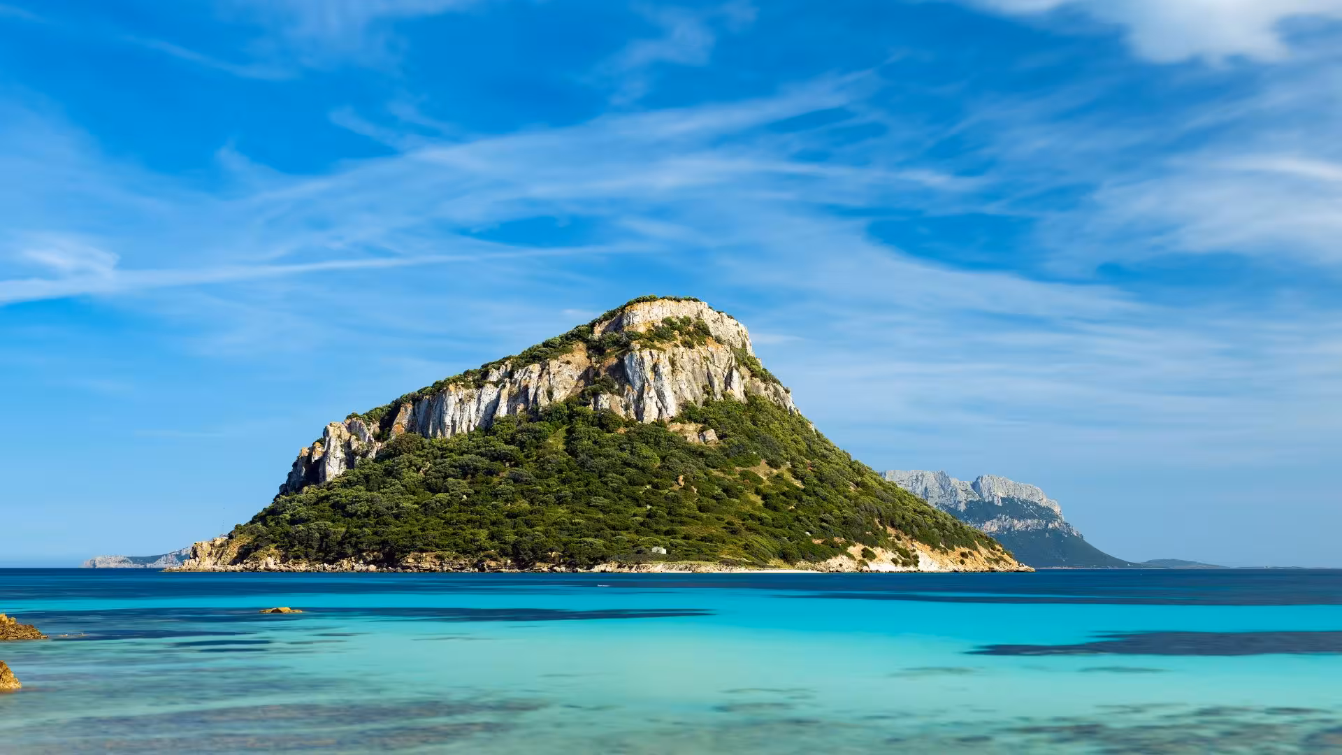 Scenic view of Capo Figari's lush cliffs and turquoise waters on the Olbia dolphin watching RIB tour.