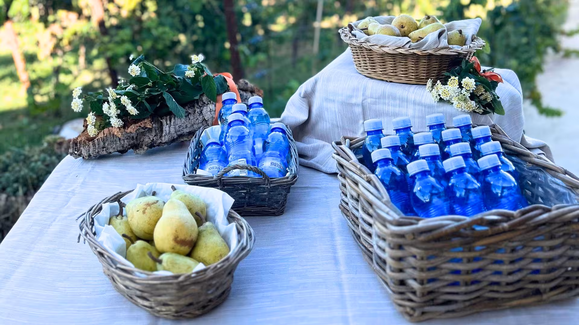 Baskets of pears and water bottles set up for a farm picnic in Olbia, surrounded by greenery and flowers.