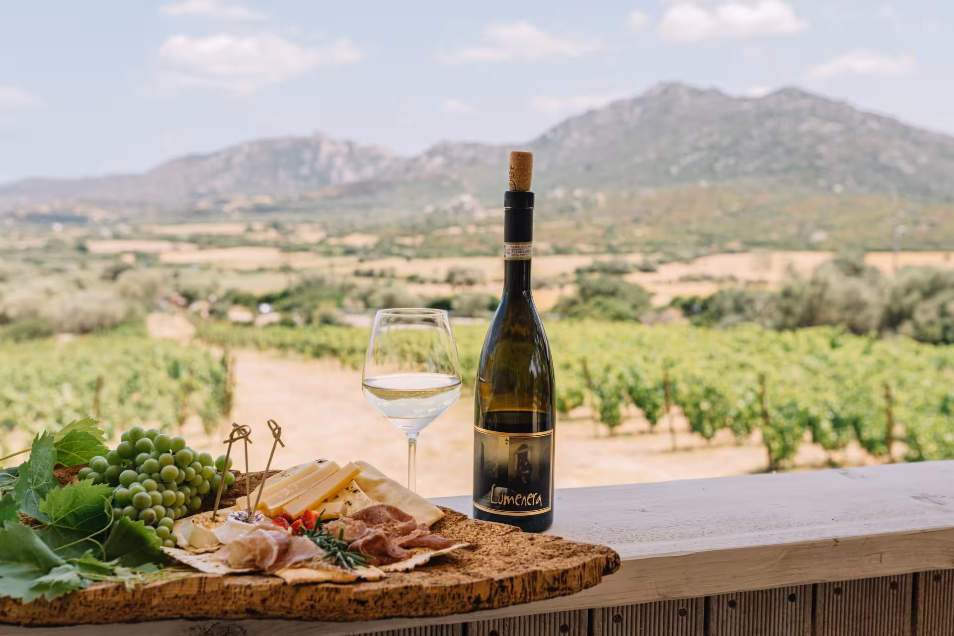 Wine and cheese platter with Gallura vineyard backdrop, representing Olbia's authentic tasting experience.