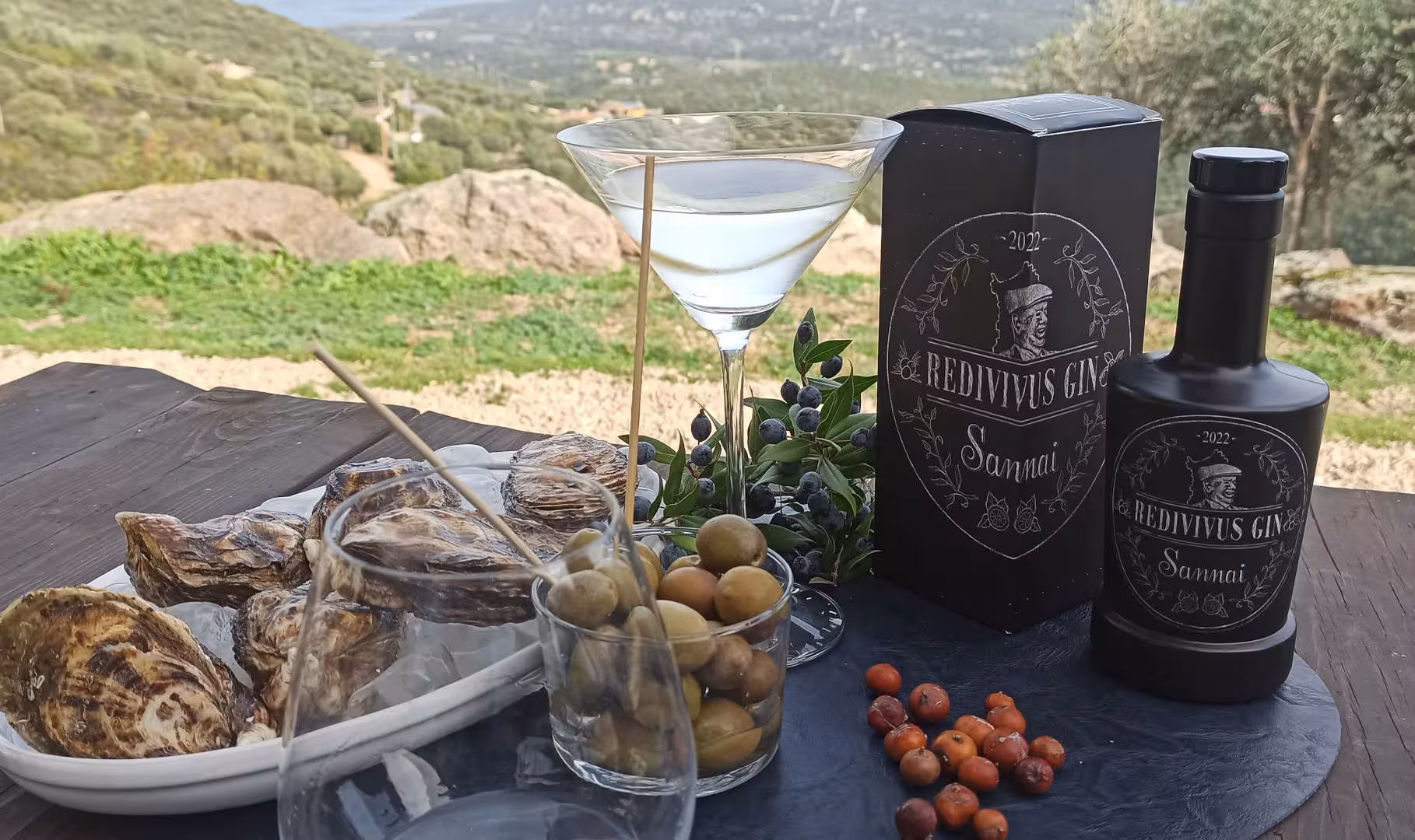 Martini glass with gin, olives, and oysters amidst lush Olbia hills at a gin-making factory tasting.