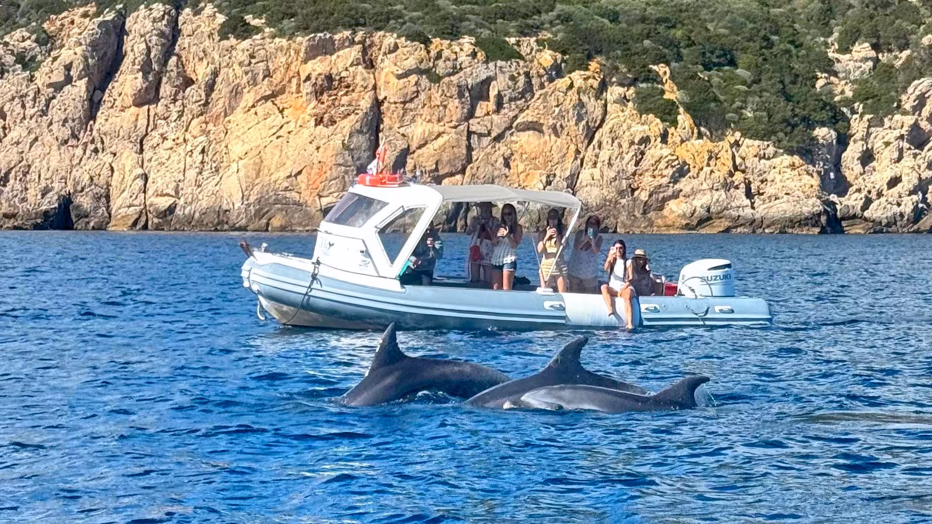 Tourists on a RIB boat watching dolphins near Capo Figari's scenic cliffs on a dolphin sighting tour from Olbia.