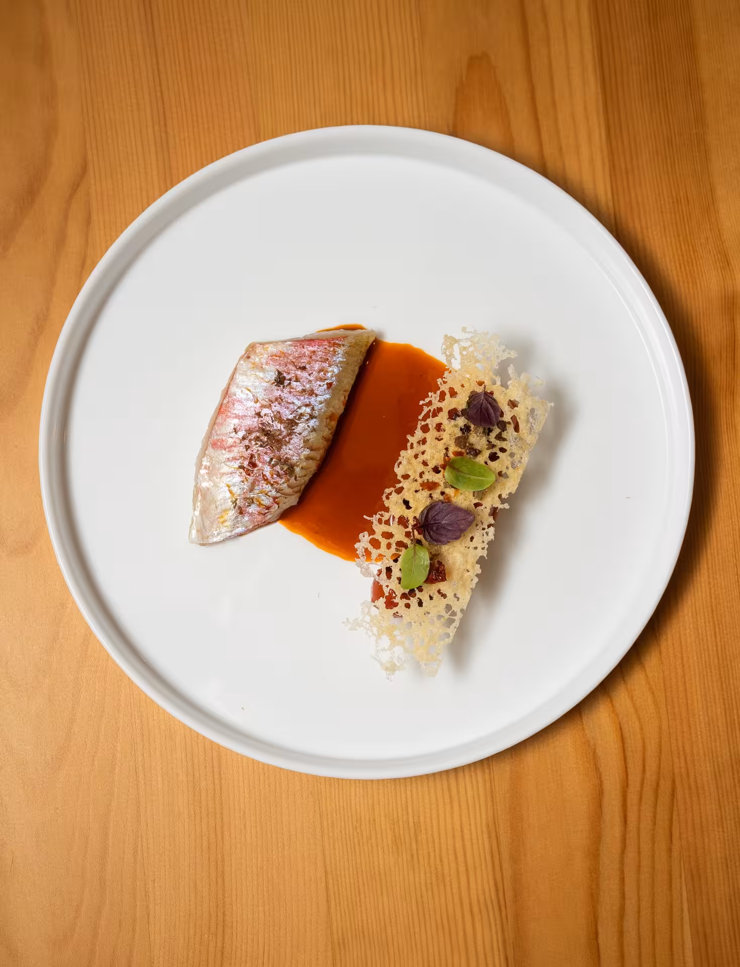 Gourmet fish fillet with artistic presentation on a white plate, featured in Olbia's Sardinian tapas tasting tour.