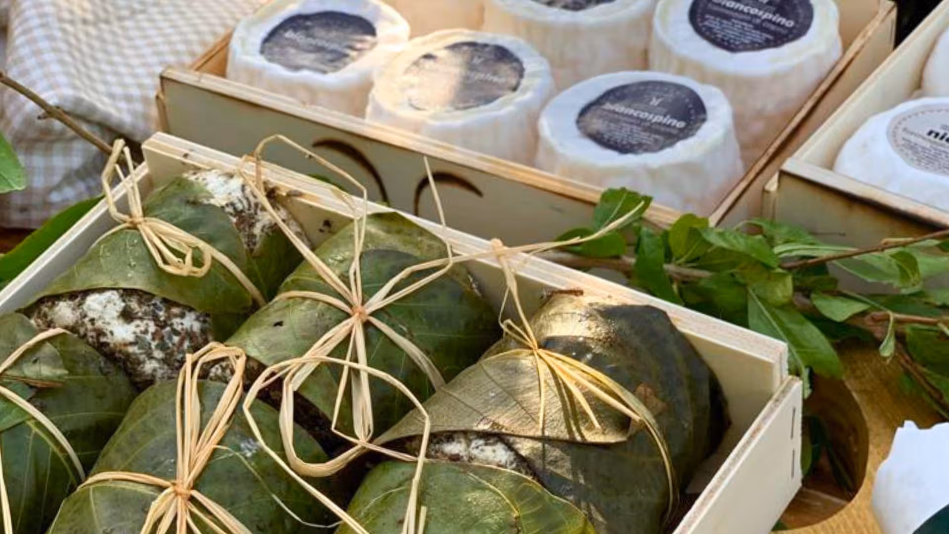 Traditional Oliena goat cheese wrapped in leaves, highlighting Sardinian artisanal cheese-making for tasting experiences.