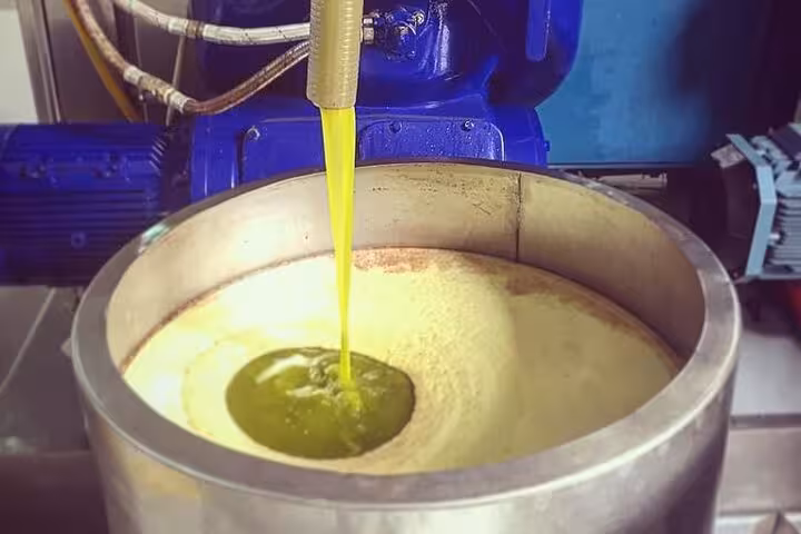 Olive oil pouring during Vieste oil mill tour for an authentic tasting experience.