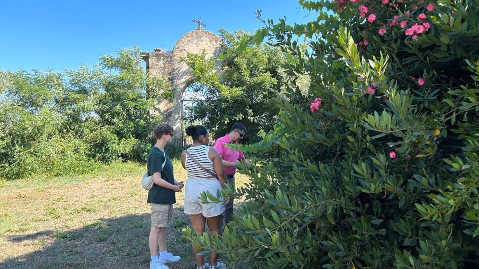 Tour participants examine flora near a historic site in Oristano, guided by an expert through lush greenery.