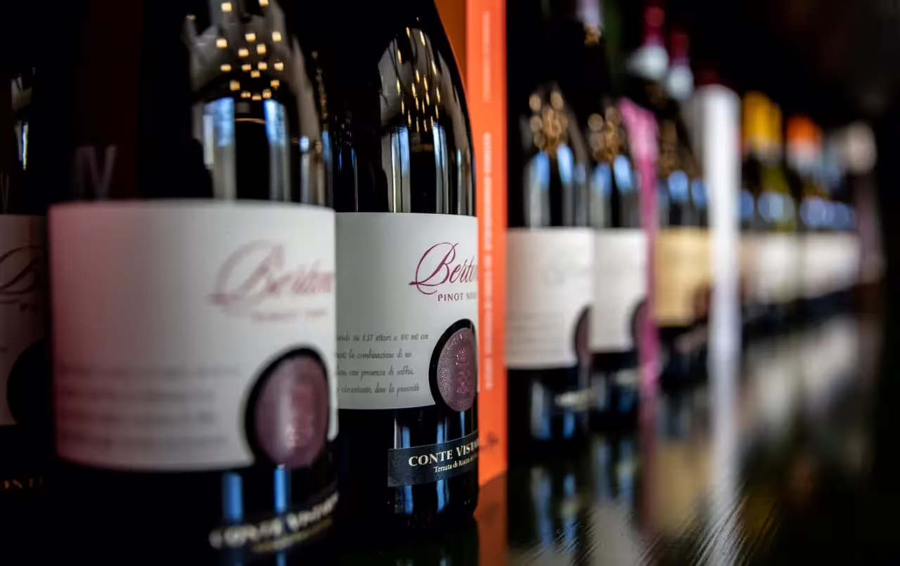 Close-up of Oltrepò Pavese Pinot Nero bottles lined up for Italian wine tasting during winery tour