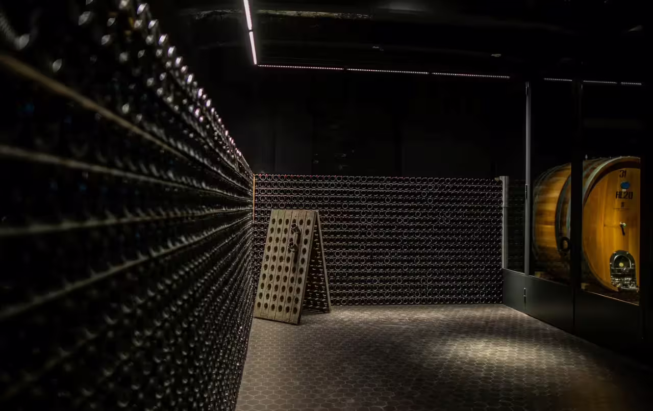 Wine cellar in Oltrepò Pavese with bottle racks and oak barrels, part of guided winery tour and tasting