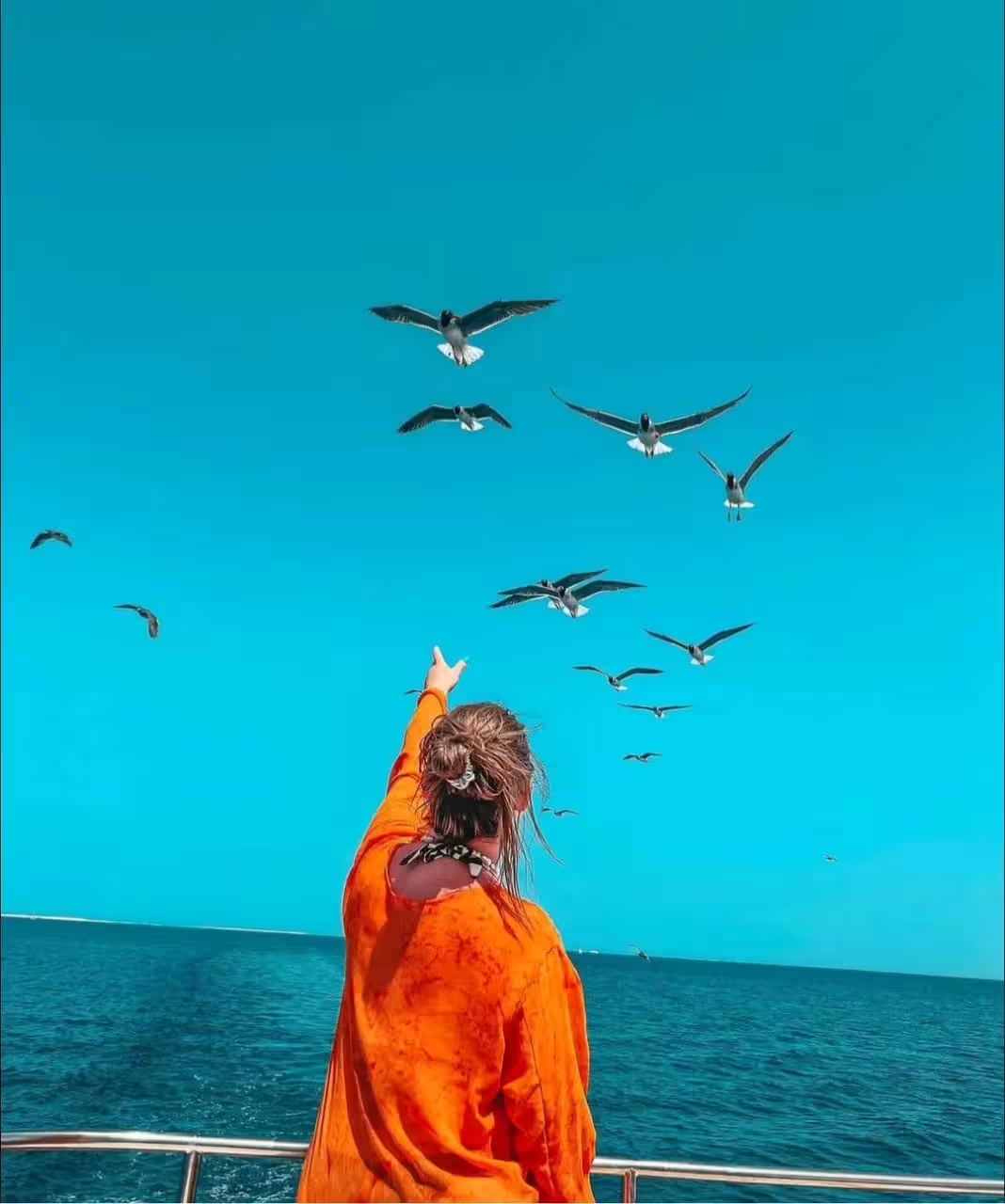 Traveler on a boat pointing at seagulls over the Red Sea, Orange Bay Island snorkeling excursion