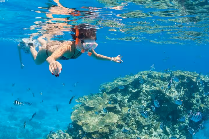 Snorkeler over vibrant coral reef in Orange Bay, Hurghada, enjoying Red Sea snorkeling tour and water sports