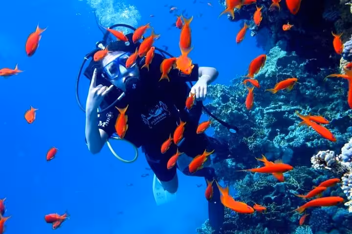 Scuba diver by Red Sea coral reef with orange fish on Orange Island snorkeling trip Hurghada