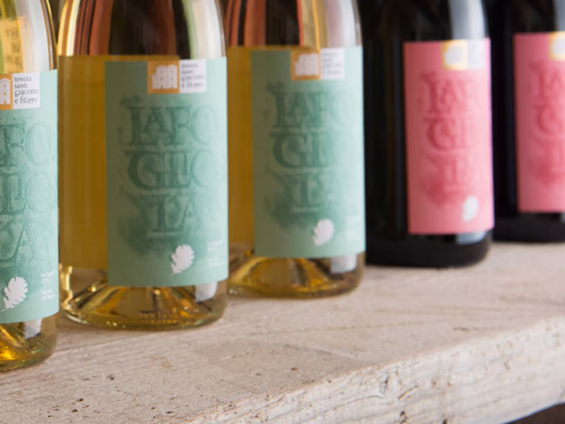 Bottles of organic Marche wine lined up for boutique winery visit and 5 wine tastings near Urbino