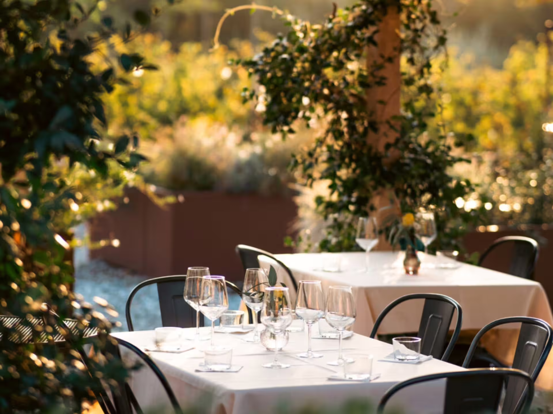 Outdoor dining area with elegant table settings amidst lush vineyard scenery at an organic winery in Lucca.