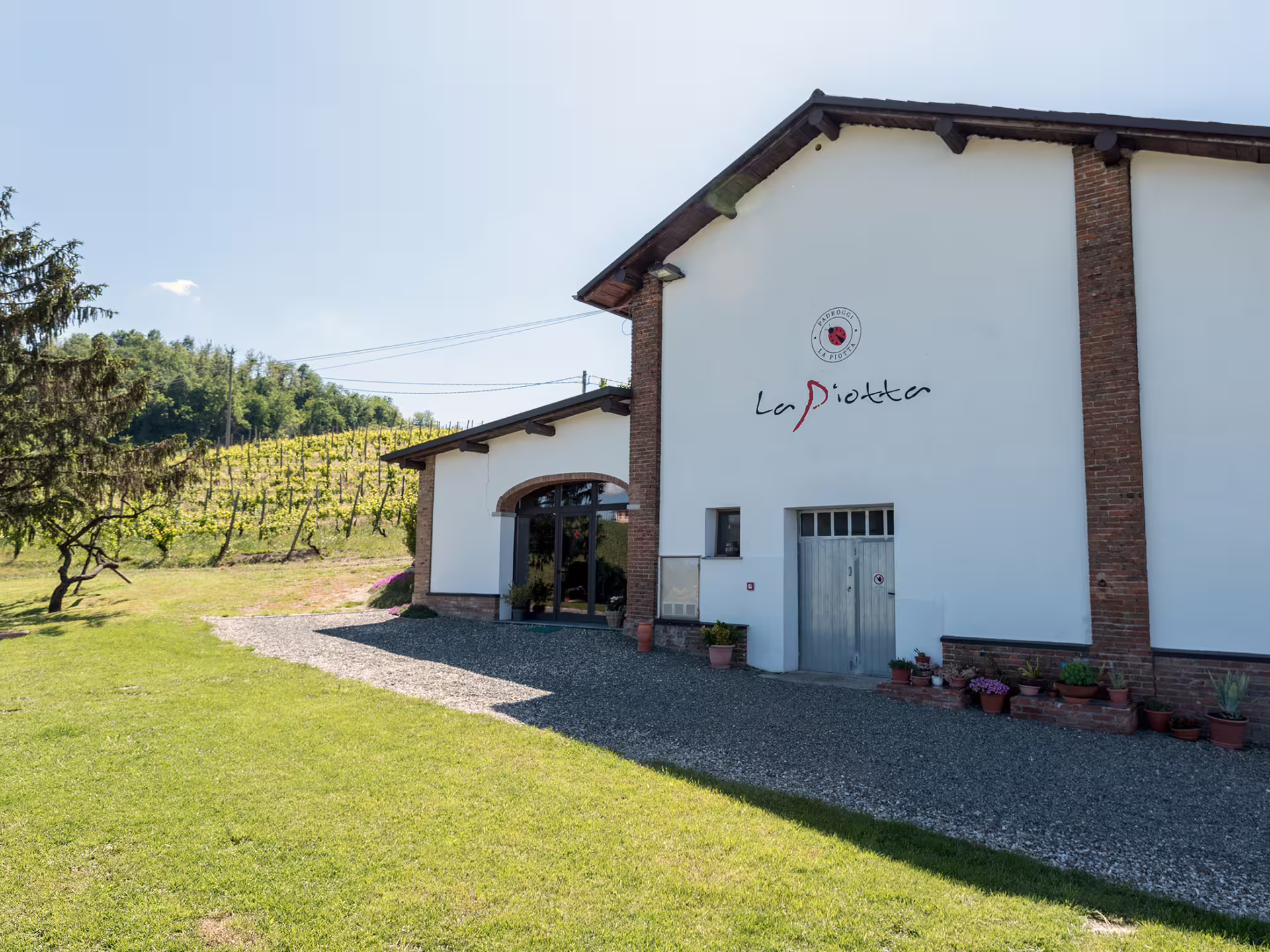 Organic winery in Pavia with vineyard backdrop, start of Oltrepò Pavese wine tasting and food tour