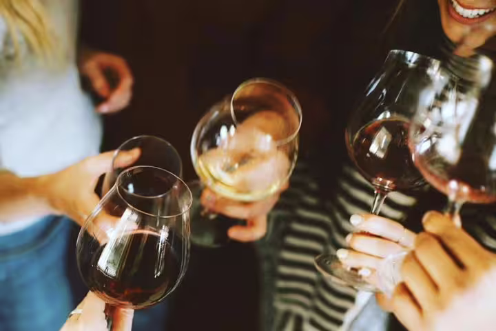 Group of friends toasting with wine glasses during an organic winery tour with local lunch.