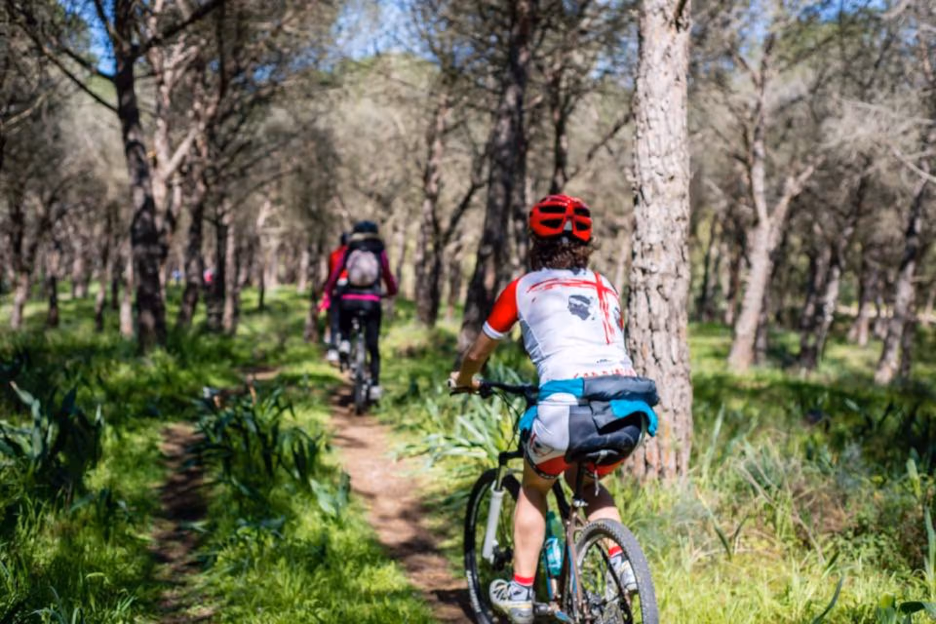 Cyclists navigate lush woodland trails on the Oristano bike tour along Torregrande coast, ideal for nature enthusiasts.