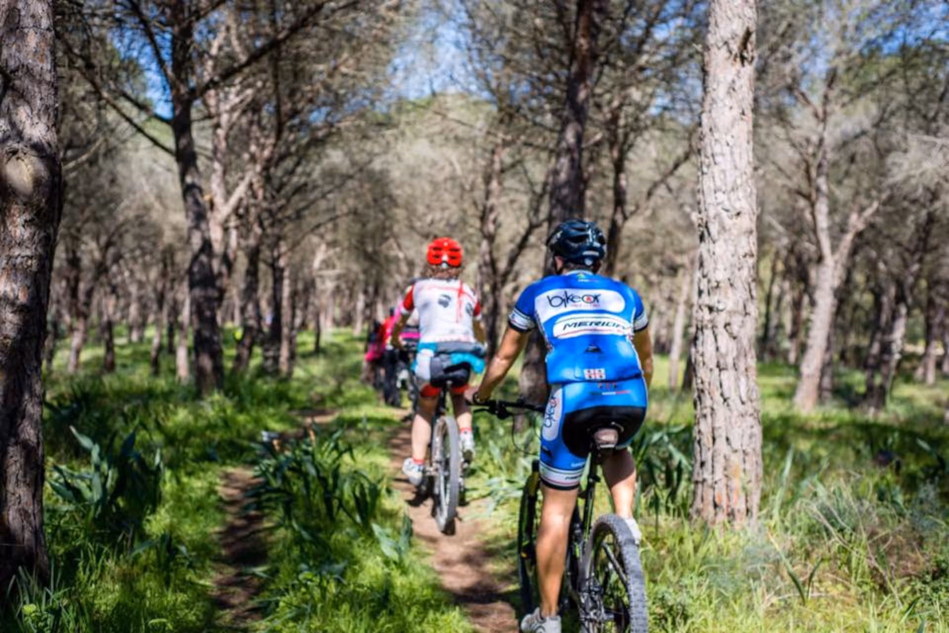 Cyclists riding through a lush forest path in Oristano, showcasing the greenery on the Torregrande coast bike tour.
