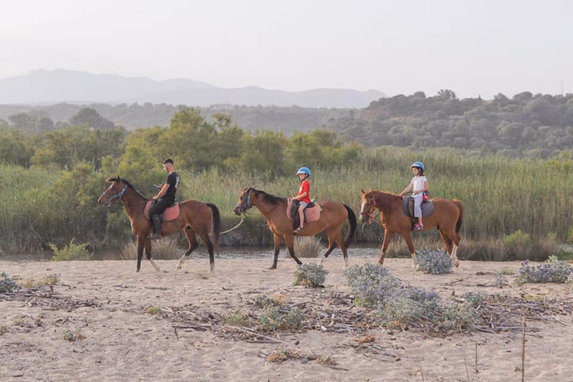 A group of riders on horseback traversing sandy paths surrounded by lush greenery in Orosei at sunrise.