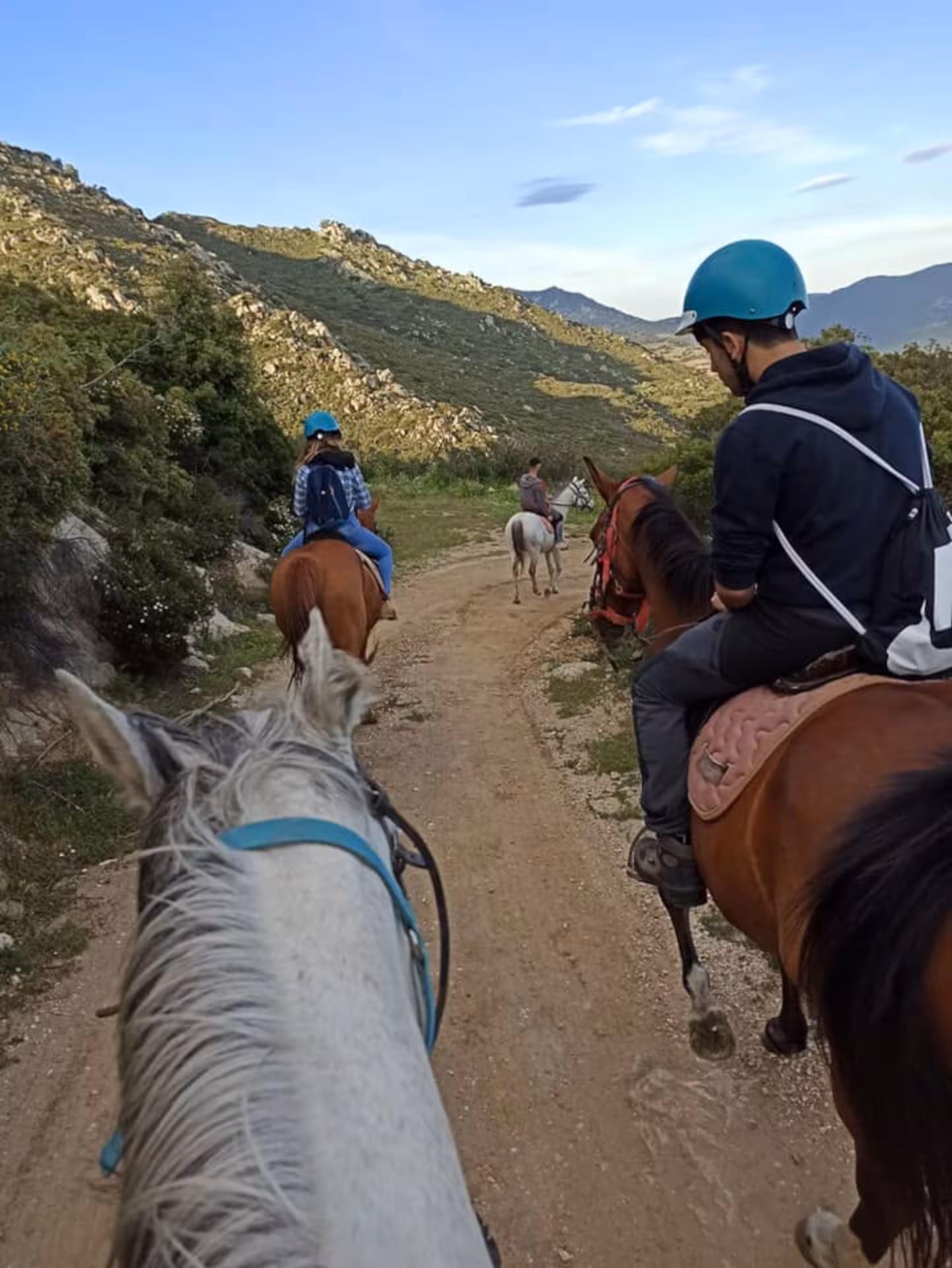 Group horseback riding through picturesque Orosei trails with lush greenery and mountainous backdrop.