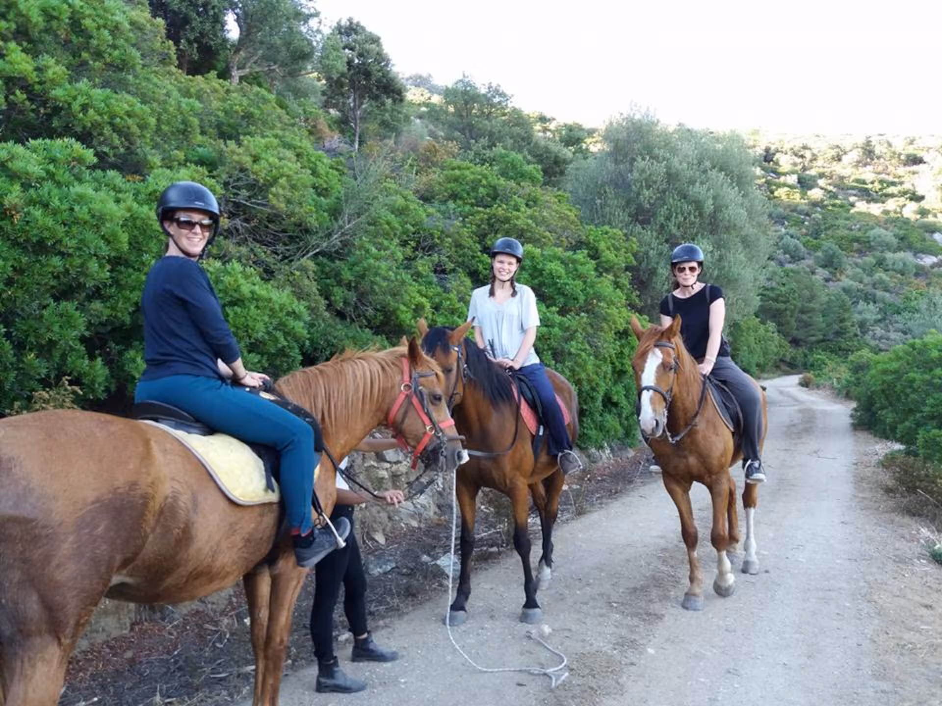 Riders enjoying a scenic horseback tour in the lush Irgoli area of Orosei, perfect for adventure and nature lovers.