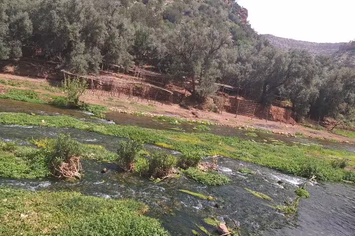 Scenic river and olive groves near Ouzoud Waterfalls, a relaxing stop on a private day trip from Marrakech