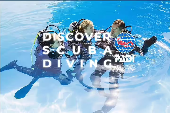 Group enjoying a PADI Discover Scuba Diving experience in Funchal's clear blue waters, perfect for beginners and adventure seekers.