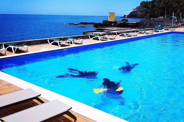 Scuba divers practice skills in a crystal-clear pool by the ocean, perfect for beginners taking an Open Water Course.