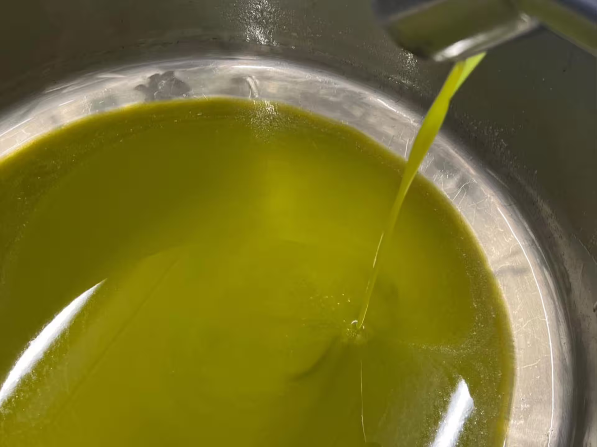 Golden-green extra virgin olive oil flowing into a steel vat during the Padua Hills olive mill tour and tasting