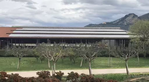 Modern buffalo farm building near Paestum with neat orchards and mountain views on a rural Campania lunch tour