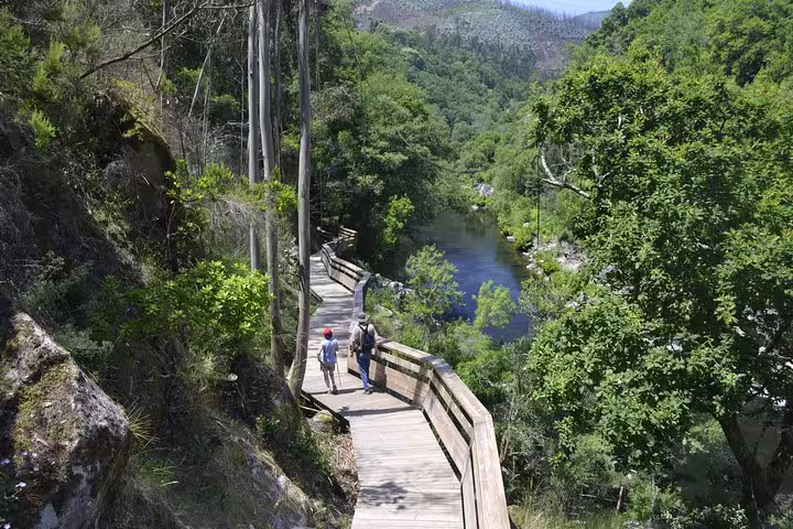 Visitors stroll on the picturesque Paiva Walkways, enjoying vibrant forest scenery and a serene river view.