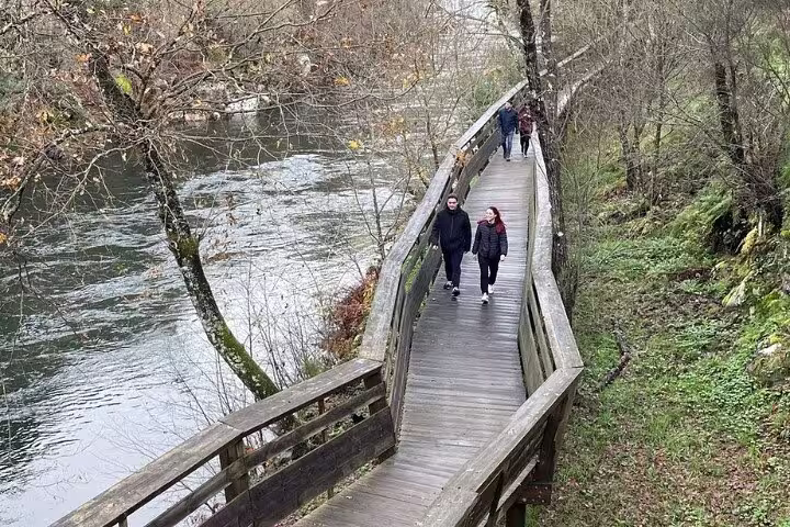 Tourists walking along the serene riverside trail on Paiva Walkways, flanked by trees.