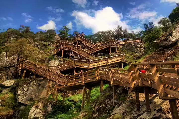 Explore the stunning wooden walkways of Paiva Walkways, surrounded by lush greenery and rugged landscapes near Porto.