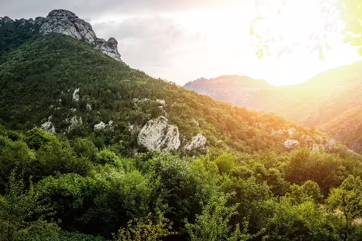 Sunlit forested slopes and limestone cliffs in Paklenica National Park, Croatia, scenic admission ticket view