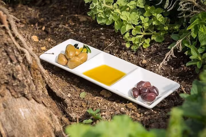 Corfu olive oil with green and Kalamata olives in a garden setting, part of Paleokastritsa private tour tastings